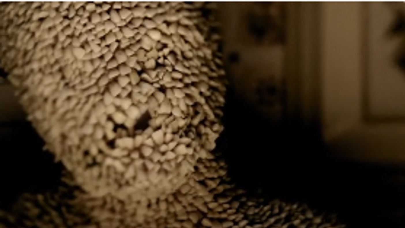 SYFY_CHANNEL ZERO_TEASE